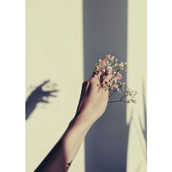 fotoplakat med hånd der holder blomster