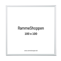 Silberner Aluminiumrahmen, matt, schmal, 100 x 100 cm – Typ 670 