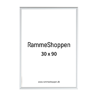 Silberner Aluminiumrahmen, matt, schmal, 30 x 90 cm - Typ 670