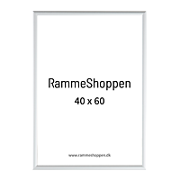 Silberner Aluminiumrahmen, matt, schmal, 40 x 60 cm - Typ 670
