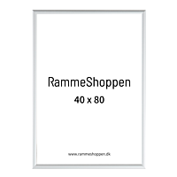 Silberner Aluminiumrahmen, matt, schmal, 40 x 80 cm - Typ 670