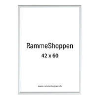 Silberner Aluminiumrahmen, matt, schmal, 42 x 60 cm (A2) – Typ 670 