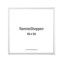 Silberner Aluminiumrahmen, matt, schmal, 50 x 50 cm – Typ 670 