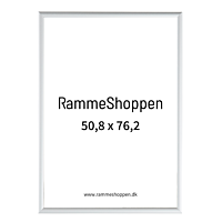 Silberner Aluminiumrahmen, matt, schmal, 50 x 75 cm für 50,8 x 76,2 cm Inhalt - Typ 670 