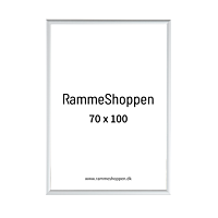 Silberner Aluminiumrahmen, matt, schmal, 70 x 100 cm – Typ 670 
