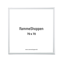 Silberner Aluminiumrahmen, matt, schmal, 70 x 70 cm – Typ 670 
